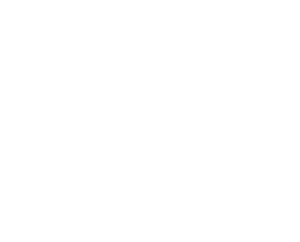 Momo Factory