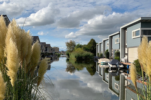 Momos in Aalsmeer