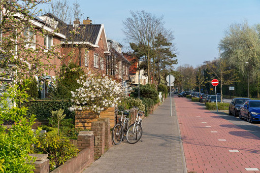 Location_Momo in Beverwijk